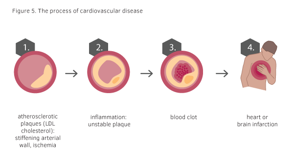 Is there information on genetic causes of heart disease?
