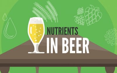 Nutrients in Beer, an explanimation
