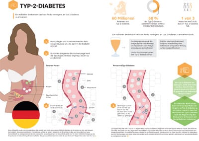 Infographic: Type 2 Diabetes (German Translation)