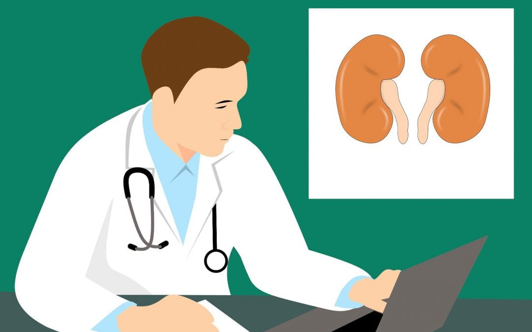 Risk factors of chronic kidney disease: two meta-analyses